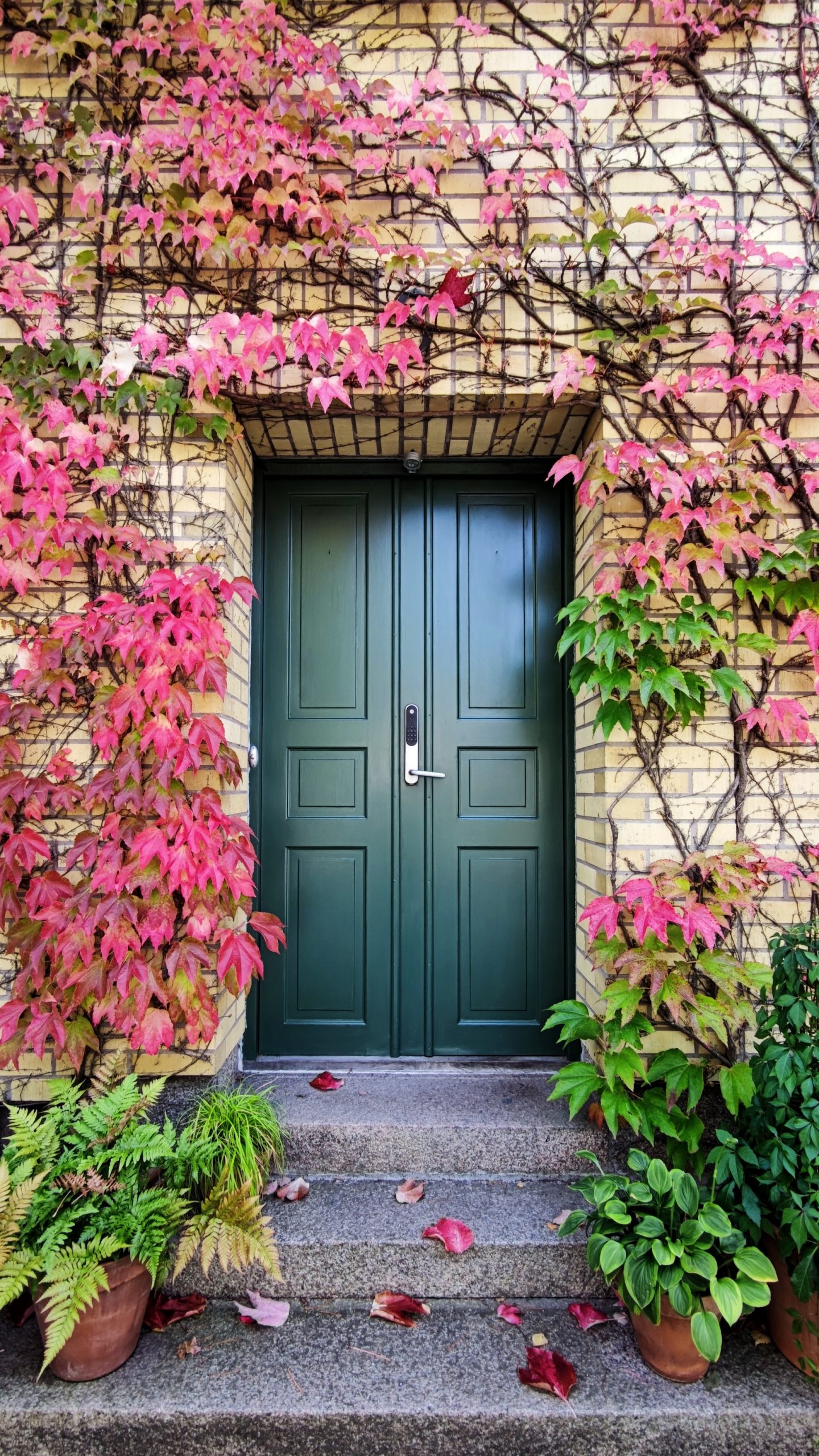 Drzwi do domu – dlaczego ich wybór jest tak ważny?
