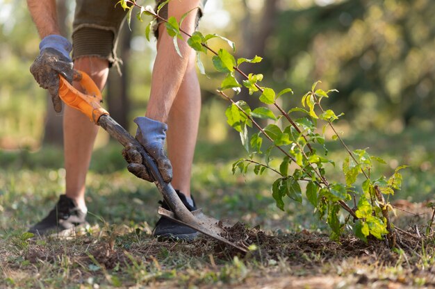 Jak prawidłowo pielęgnować drzewa i krzewy w swoim ogrodzie?